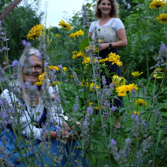 Bild enthält, Field, Grassland, Meadow, Daisy, Flower, Adult, Female, Person, Woman, Garden