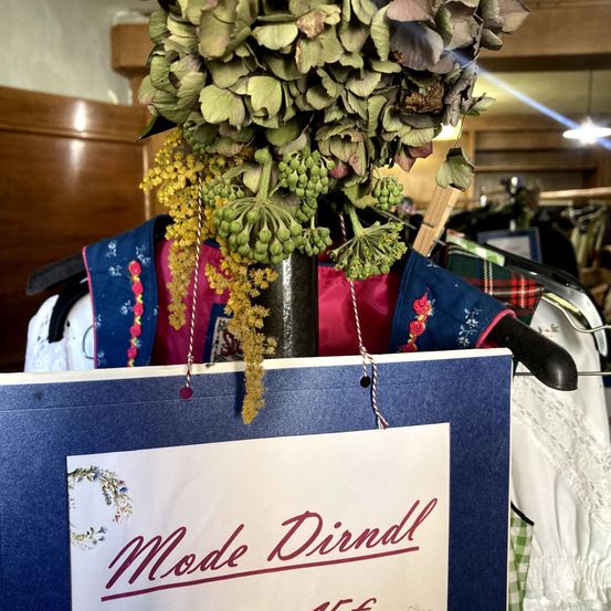 Bild enthält, Plant, Potted Plant, Flower, Flower Arrangement, Person