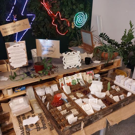 Bild enthält, Plant