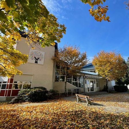 Ein Gebäude mit einem Baum-Mural steht in einem Park mit Herbstblättern. Eine Bank steht vor dem Gebäude. Bäume mit gelben und grünen Blättern umgeben den Bereich.