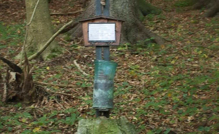 Ein hölzernes Kruzifix ist an einem Baumstamm in einem Wald montiert, darunter ein Metallbehälter. Das Gebiet ist mit abgefallenen Blättern bedeckt.