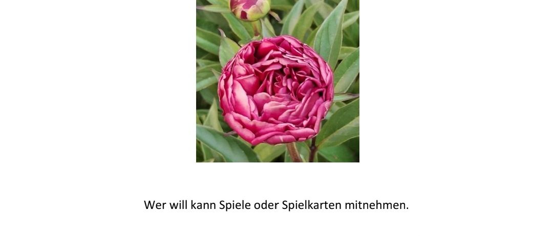 Am 09. Juni 2026 um 14:30 Uhr lädt das Brüderkloster Klein-Mariazell zu einem gemütlichen Beisammensein mit Kaffee, Kuchen und Getränken herzlich ein.
