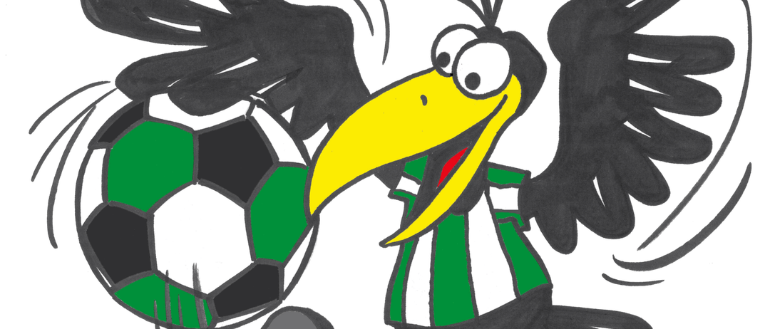 Ein gezeichneter Rabe mit schwarzen Flügeln tritt einen Fußball mit grünen und weißen Streifen. Der Rabe trägt grüne und weiße gestreifte Socken.