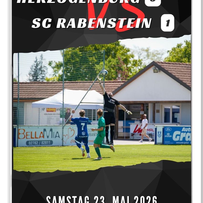 Ein Fußballspiel wird auf einem Rasenfeld ausgetragen. Spieler sind in Aktion, einer springt, um den Ball zu fangen. Der Torwart ist bereit zu blocken. Der Hintergrund zeigt einen Zaun, ein Haus und eine Autowerbung.