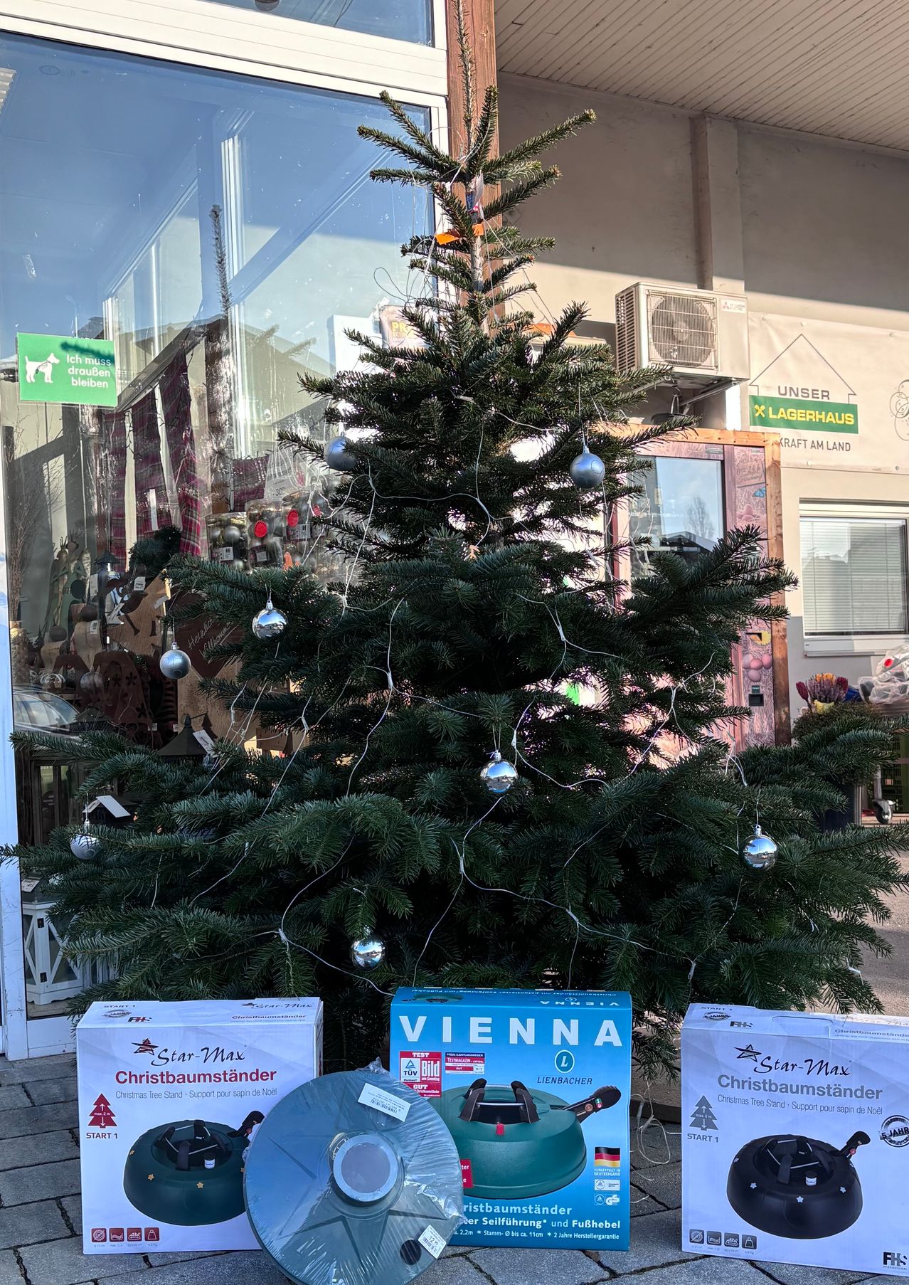 Bild enthält, Plant, Tree, Fir, Building, Pine, City, Christmas Decorations, Festival, Urban, Wheel