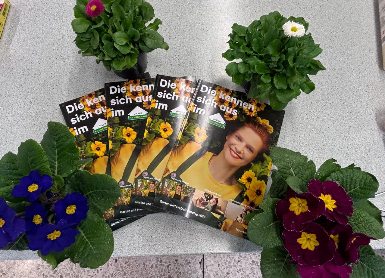 Bild enthält, Plant, Potted Plant, Daisy, Flower, Planter, Petal, Geranium, Flower Bouquet, Herbal, Portrait