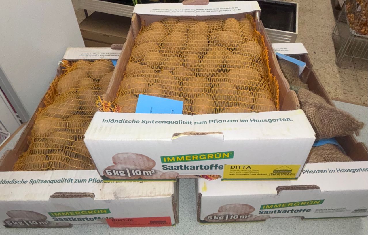 Bild enthält, Box, Food, Fruit, Plant, Produce, Cardboard, Carton