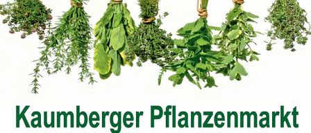 Kaumberger Pflanzenmarkt. Samstag, 16.5., 9:00-14:00 Uhr. Grillen, Kaffee, Kochen, Jungpflanzenmarkt professioneller Gärtner. Veranstalter: Fremdenverkehrsverein Kaumberg.