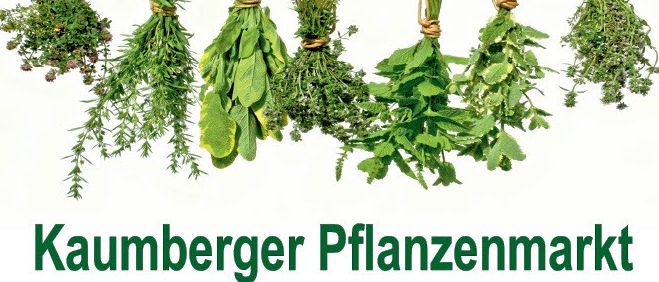 Kaumberger Pflanzenmarkt. Samstag, 16.5., 9:00-14:00 Uhr. Grillen, Kaffee, Kochen, Jungpflanzenmarkt professioneller Gärtner. Veranstalter: Fremdenverkehrsverein Kaumberg.