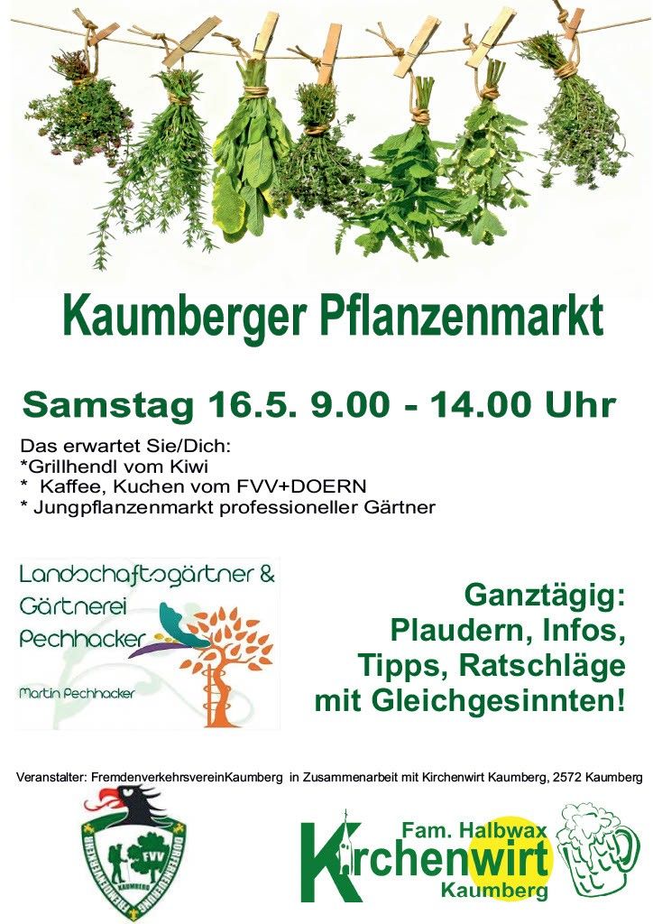 Kaumberger Pflanzenmarkt am Samstag, 16. Mai, von 9:00 bis 14:00 Uhr. Erwarten Sie Grillgerichte, Kaffee, Küchen von FVV+DORN und einen Pflanzenmarkt von professionellen Gärtnern.