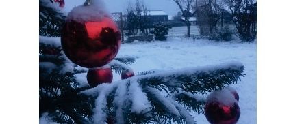 Das Bild zeigt eine Veranstaltung mit verschiedenen Aktivitäten und Erfrischungen. Es zeigt Esel, Livemusik, ein selbst-Familienerlebnis und Essen wie Gulaschsuppe, Würste und Raclettekäse. Die Veranstaltung ist alkoholfrei.