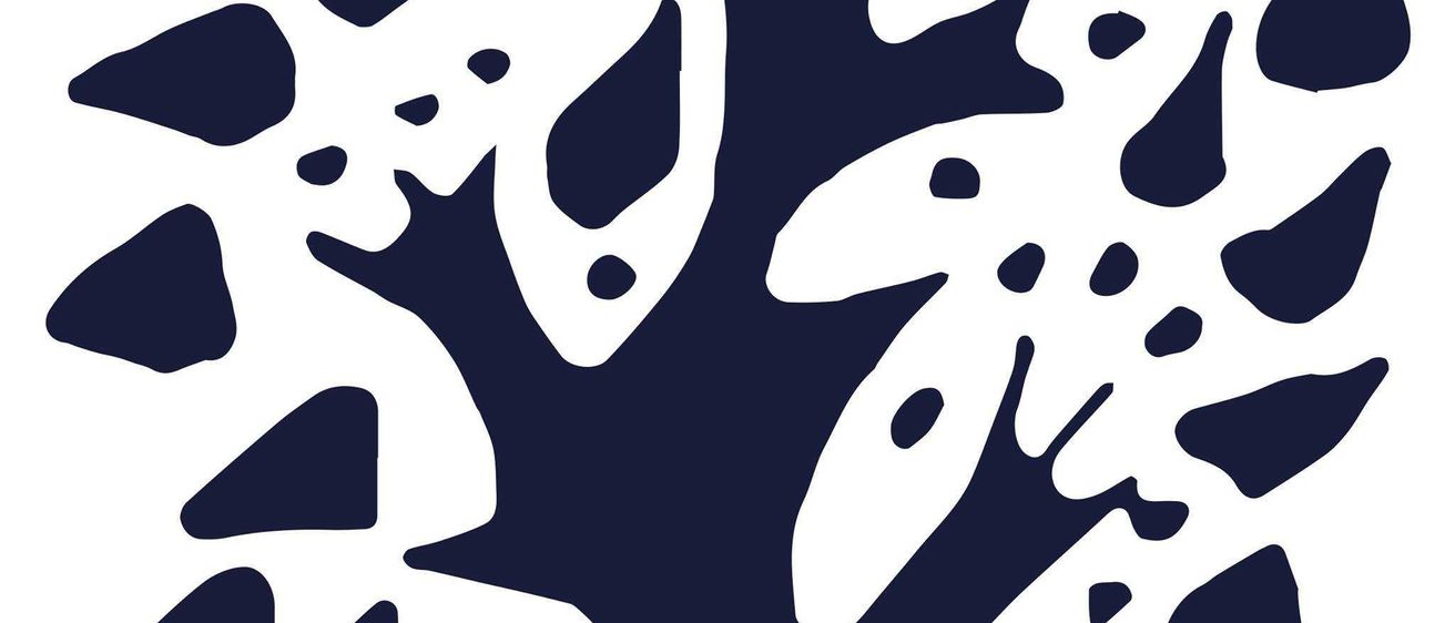 201034391_190938863037723_1938382967634791127_n