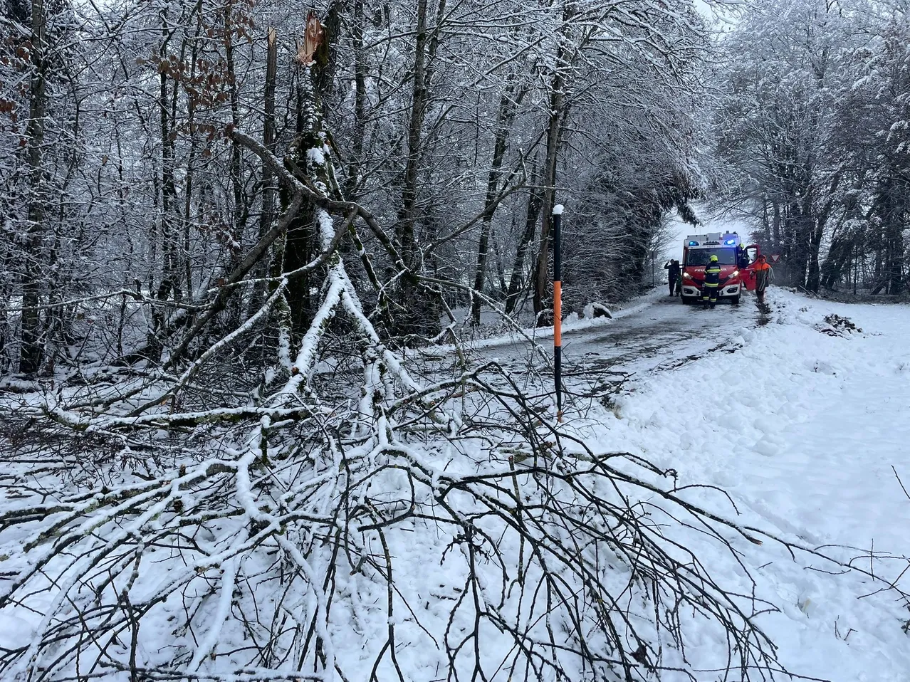 Ein Feuerwehrauto steht auf einer verschneiten Straße, Feuerwehrleute kümmern sich um einen umgestürzten Baum. Das Gebiet ist von schneebedeckten Bäumen umgeben.