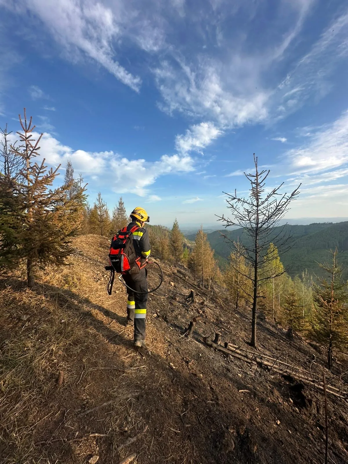 Ein Feuerwehrmann wandert den Hang hinauf, wo kahle Bäume stehen und ein klarer blauer Himmel zu sehen ist.