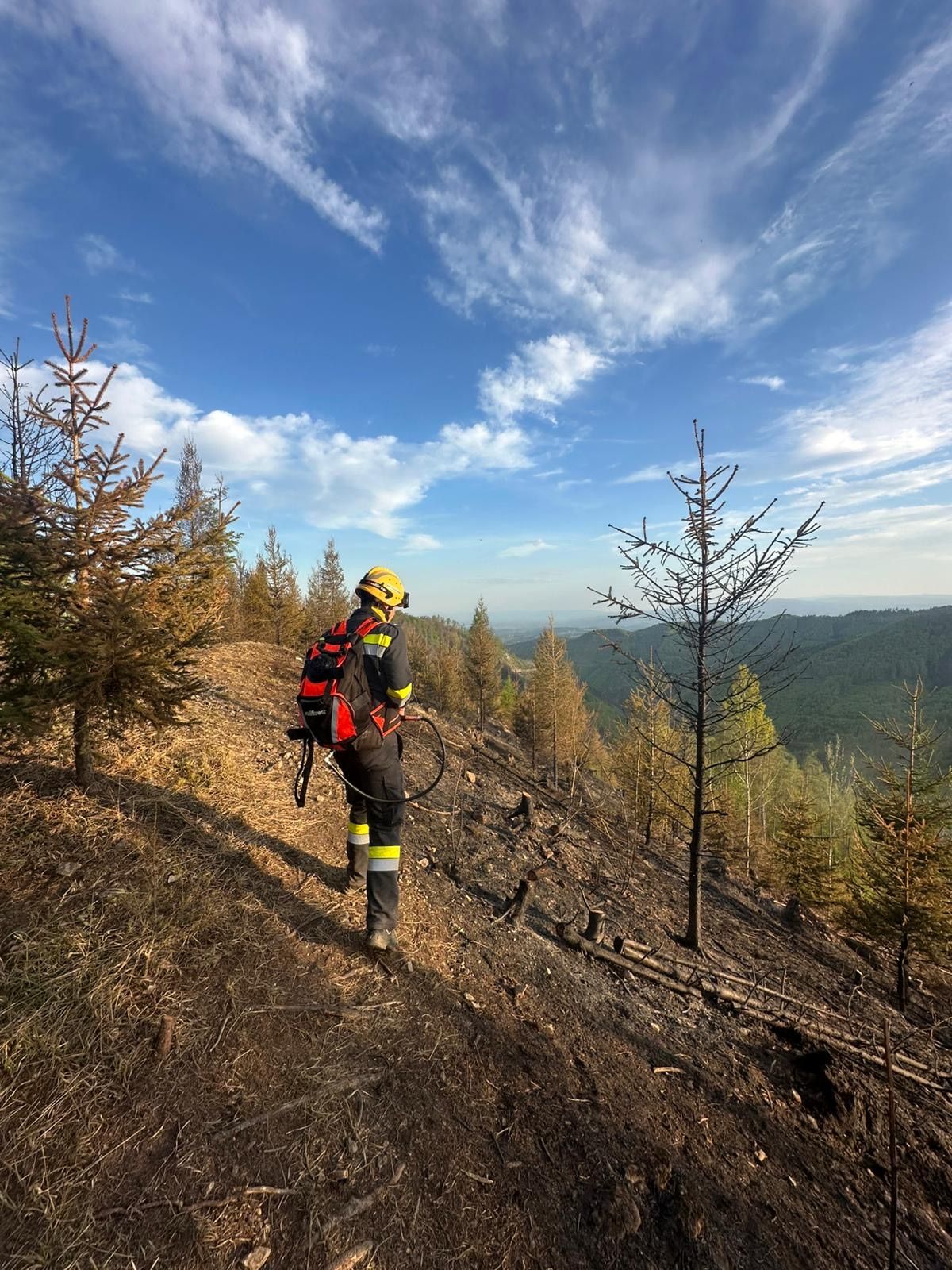 Ein Feuerwehrmann wandert den Hang hinauf, wo kahle Bäume stehen und ein klarer blauer Himmel zu sehen ist.