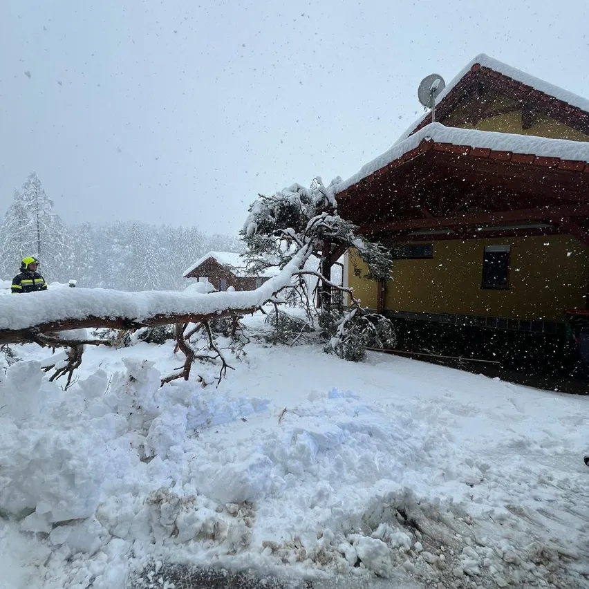 Eine schneebedeckte Landschaft mit einem umgestürzten Baumast vor einem Haus. Eine Person in einer gelben Sicherheitsjacke steht im Schnee.