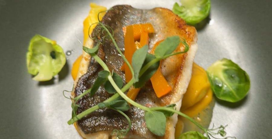 Ein Teller mit gegrilltem Fischfilet, gelber Sauce, Rosenkohl und Orangenscheiben, garniert mit grünen Blättern.