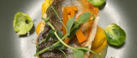 Ein Teller mit gegrilltem Fischfilet, gelber Sauce, Rosenkohl und Orangenscheiben, garniert mit grünen Blättern.