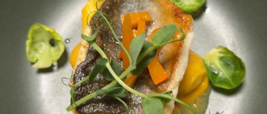 Ein Teller mit gegrilltem Fischfilet, gelber Sauce, Rosenkohl und Orangenscheiben, garniert mit grünen Blättern.