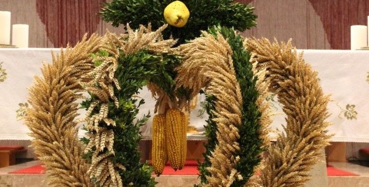 v1_migrated_image_68238888