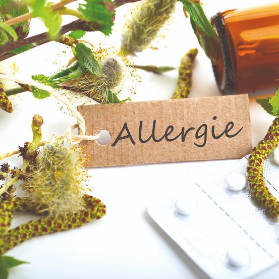 Image contains, Herbal, Herbs, Plant, Pollen, Leaf, Medication, Pill, Flower