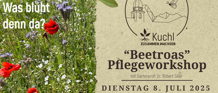 Ein Poster mit einem farbenfrohen Blumenfeld und einem Logo. Es steht 'Beetroas' Pflegeworkshop' und beschreibt einen Workshop am 8. Juli 2025, beginnend um 18:00 Uhr.