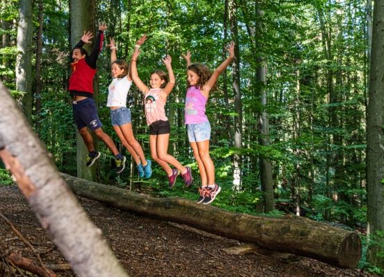 Eine Gruppe von Kindern springt über einen umgestürzten Baum im Wald und hat Spaß.