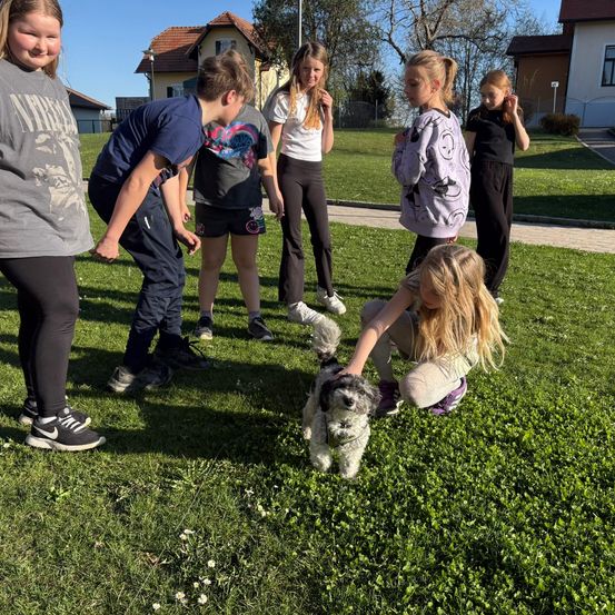 Eine Gruppe von Kindern spielt mit einem kleinen Hund auf einer Grasfläche, mit Häusern im Hintergrund.