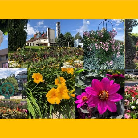 Eine Collage verschiedener Blumenarrangements und Landschaften mit leuchtenden Blumen, einem modernen Gebäude und einem gelben Hintergrund.