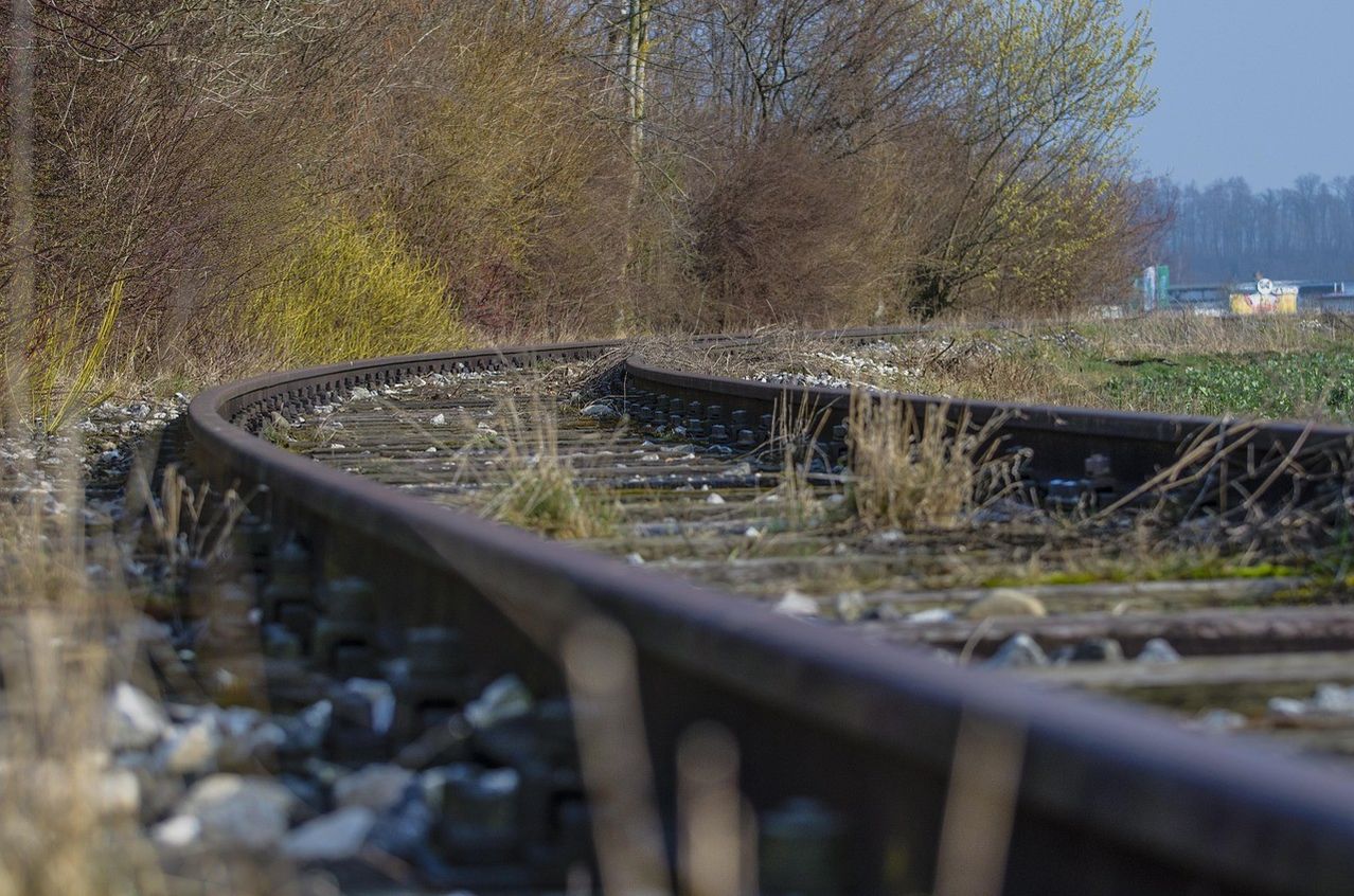 A narrow railway track surrounded by overgrown grass and trees. The rails are old and rusty. The scene is quiet and peaceful.