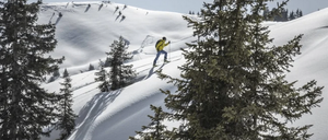 Bild enthält, Nature, Outdoors, Plant, Tree, Person, Snow, Fir, Skiing, Sport, Bird
