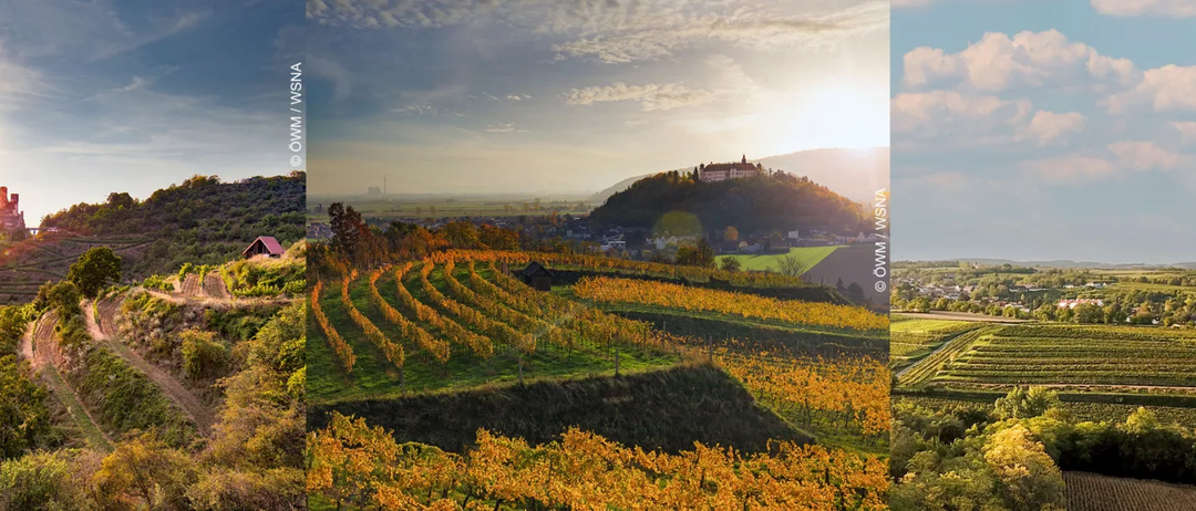 Bild enthält, Nature, Outdoors, Scenery, Landscape, Panoramic, Countryside, Rural, Farm, Sky, Vineyard