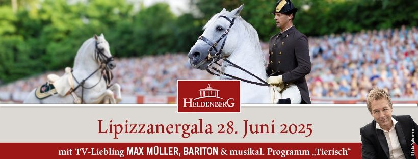 Bild enthält, Equestrian, Horse, Mammal, Person, People, Adult, Male, Man, Suit, Andalusian Horse