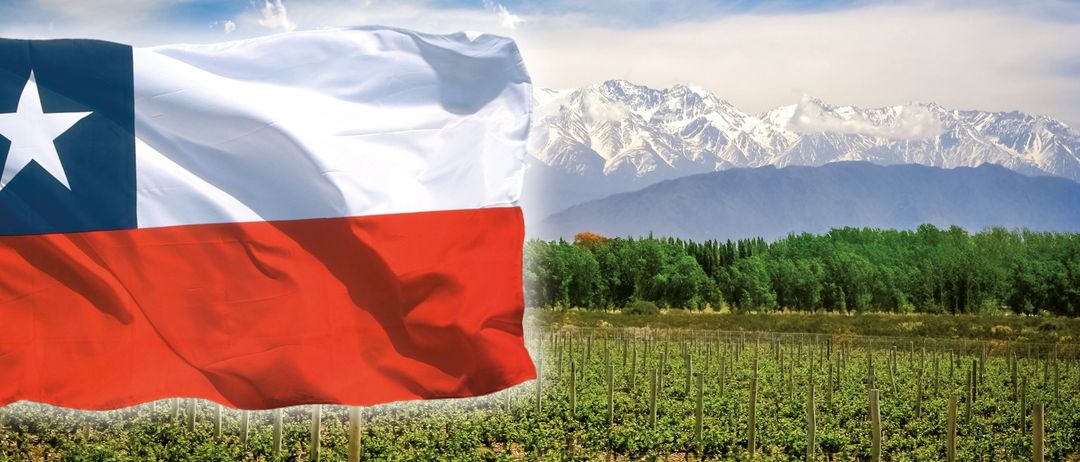 Bild enthält, Flag, Chile Flag