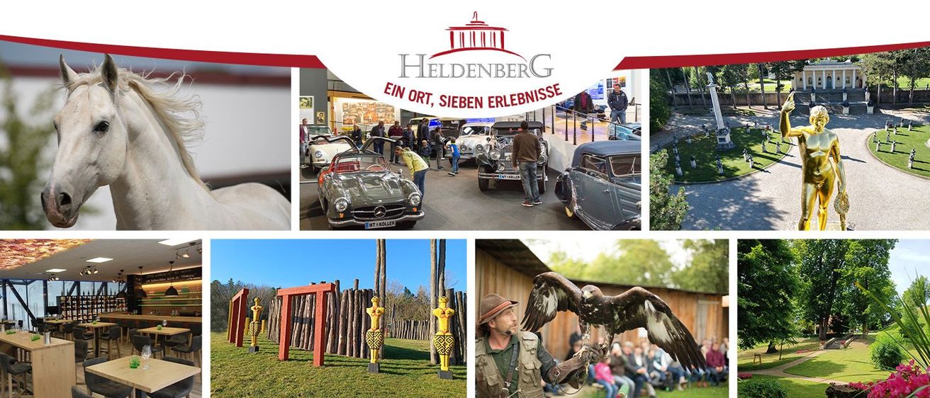 Bild enthält, Grass, Outdoors, Person, Car, Horse, Play Area, Zoo, Bird, Tree, Wheel