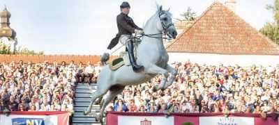 Bild enthält, Animal, Equestrian, Horse, Mammal, Person, Adult, Male, Man