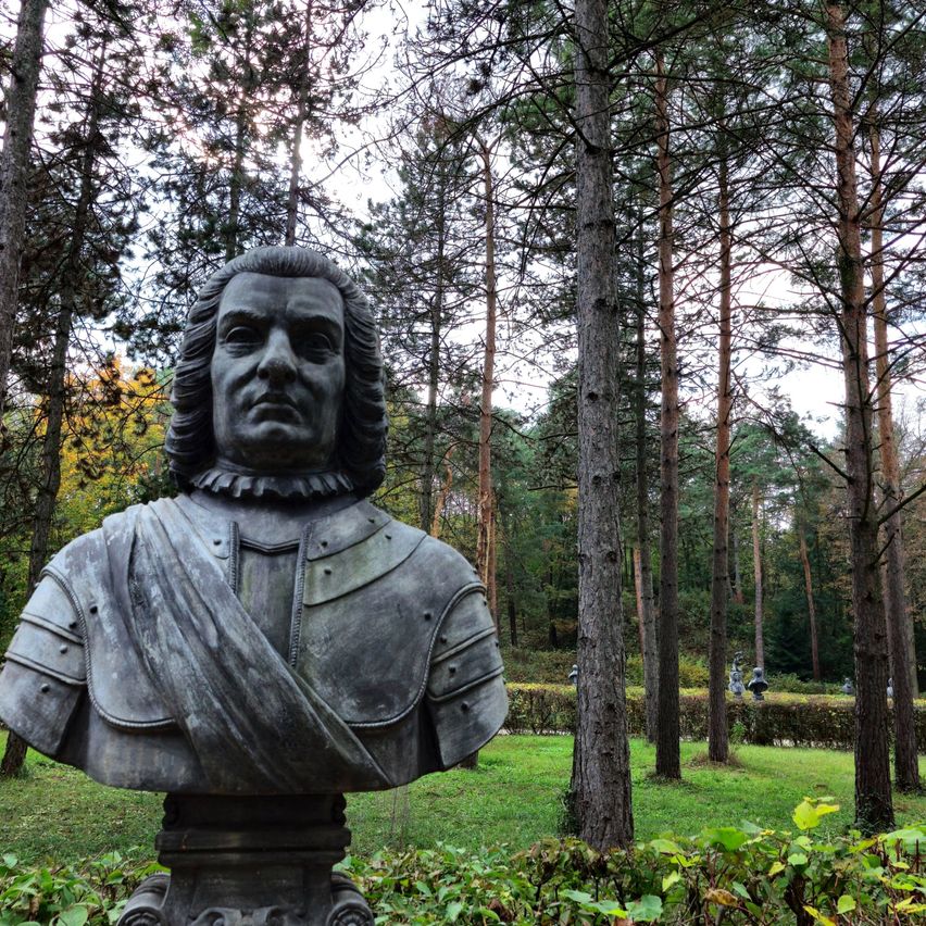 Bild enthält, Tree, Vegetation, Tree Trunk, Person, Fir, Outdoors, Woodland, Face, Head, Art