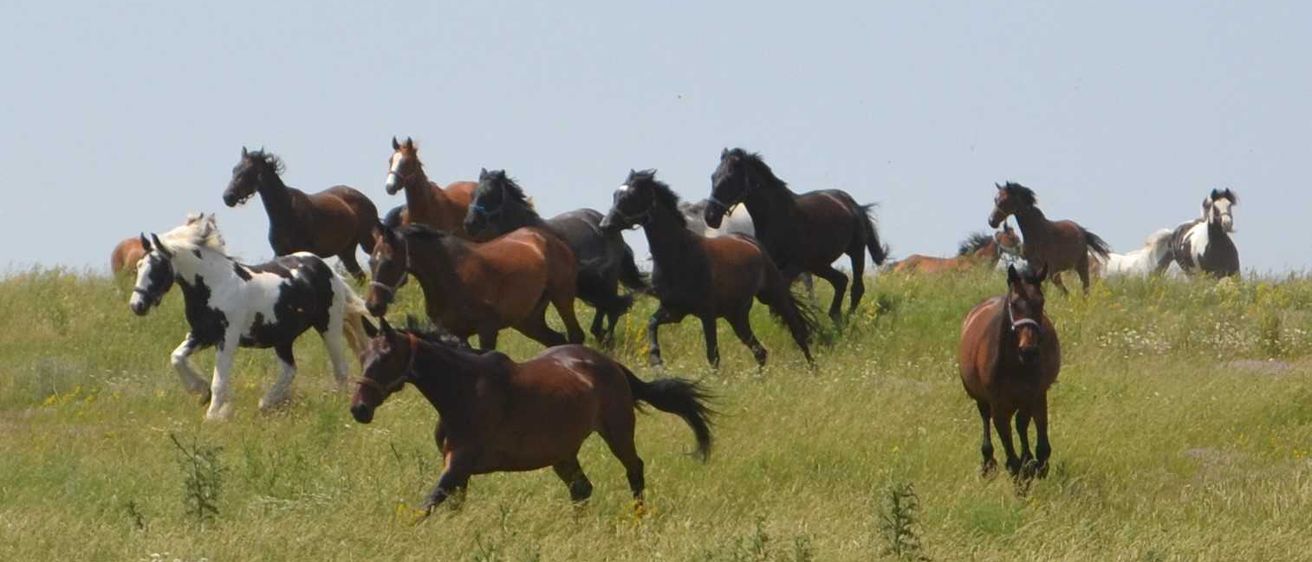 62451625_887344171620532_1227611591474675712_n