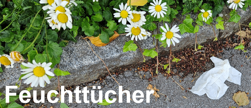 Gänseblümchen wachsen neben einem Bordstein. Ein Taschentuch liegt auf dem Boden. Das Bild hat das Wort Feuchttücher auf Deutsch.