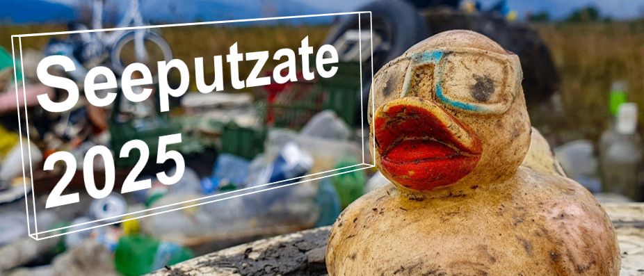 Eine Gummiente sitzt auf einer Holzoberfläche mit den Worten Seeputzate 2025 im Hintergrund.