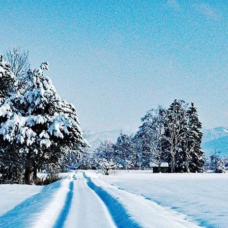 Bild enthält, Nature, Outdoors, Scenery, Landscape, Panoramic, Plant, Tree, Fir, Land, Snow