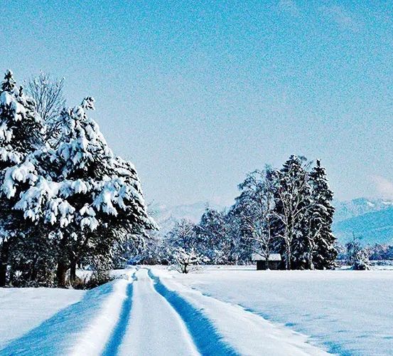 Image contains, Nature, Outdoors, Scenery, Landscape, Panoramic, Plant, Tree, Fir, Land, Snow