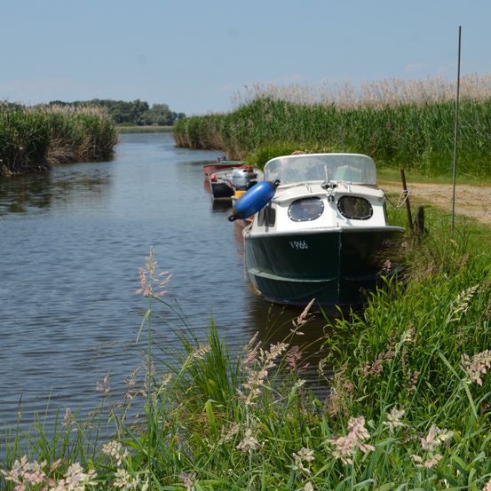 Image contains, Transportation, Vehicle, Watercraft, Boat, Water, Waterfront, Outdoors, Canal, Nature, Scenery