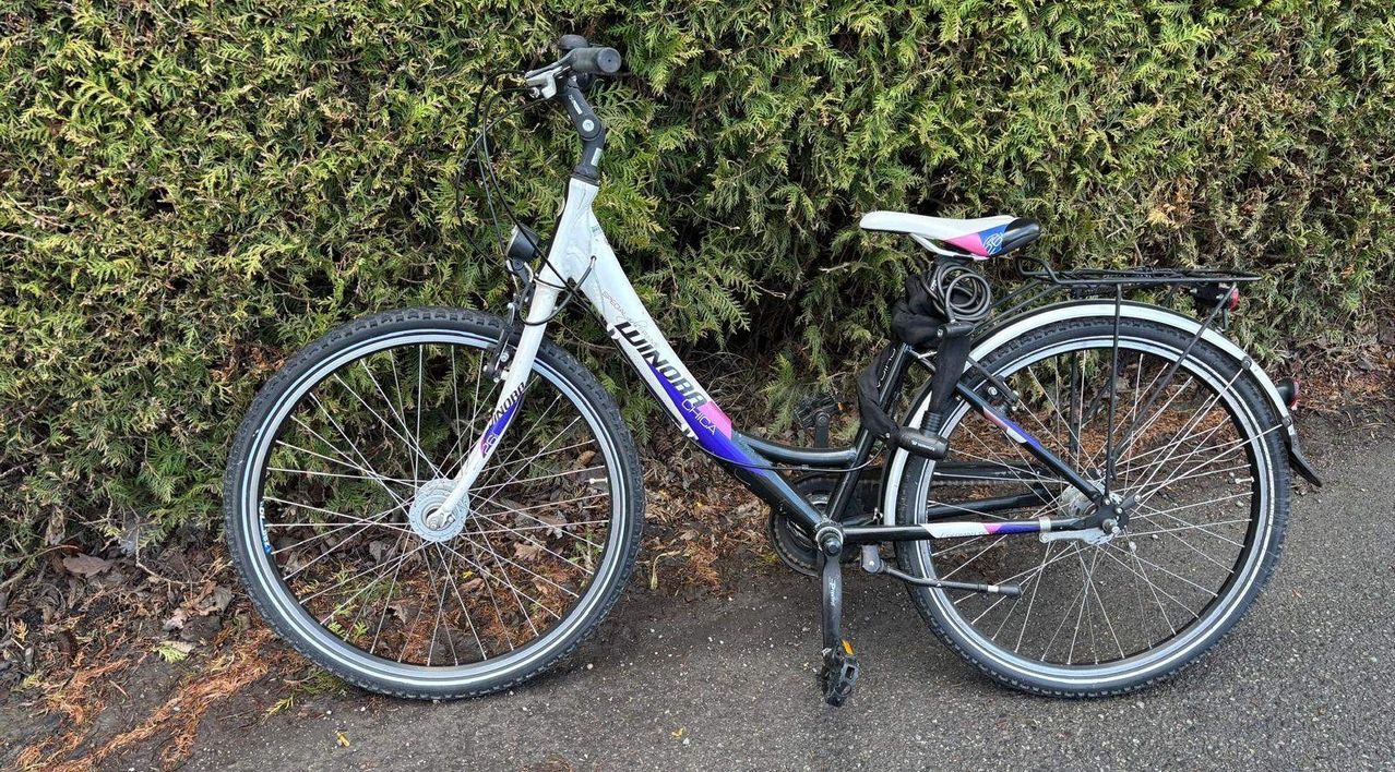 Ein weißes und lila Fahrrad mit dem Wort 'UNICORN' auf der Seite. Es ist am Straßenrand geparkt, mit einem Busch im Hintergrund.