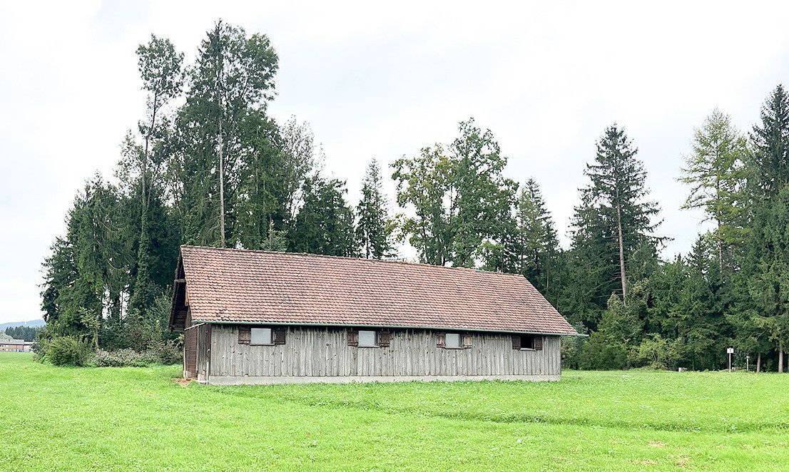 A wooden barn with a red roof stands in the middle of a green field, surrounded by tall trees.
