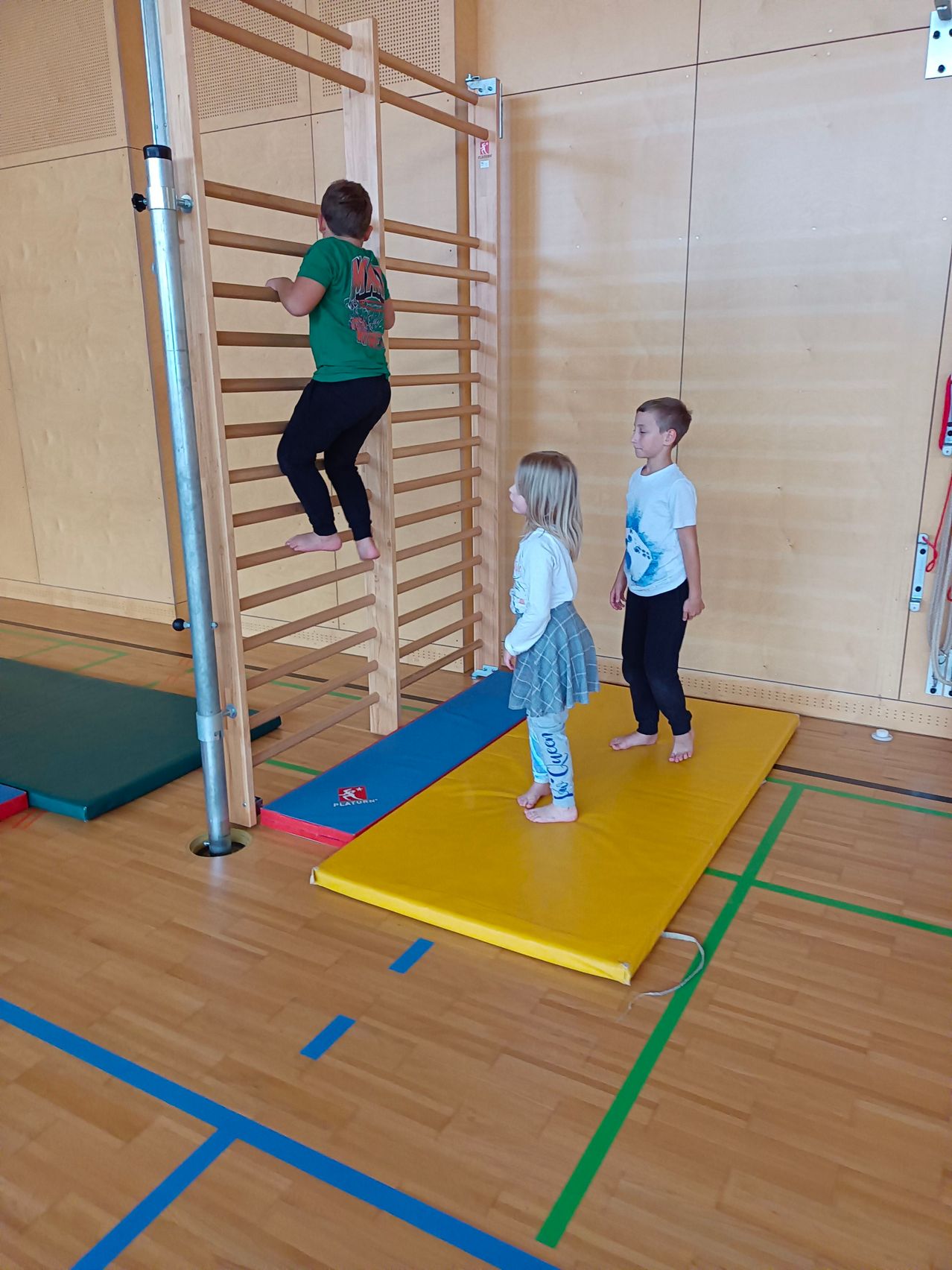 Drei Kinder in einer Turnhalle, eines klettert auf einer Holzleiter, zwei stehen auf einer gelben Matte. Die Turnhalle hat Holzböden und Wände mit verschiedenen farbigen Matten und Geräten.
