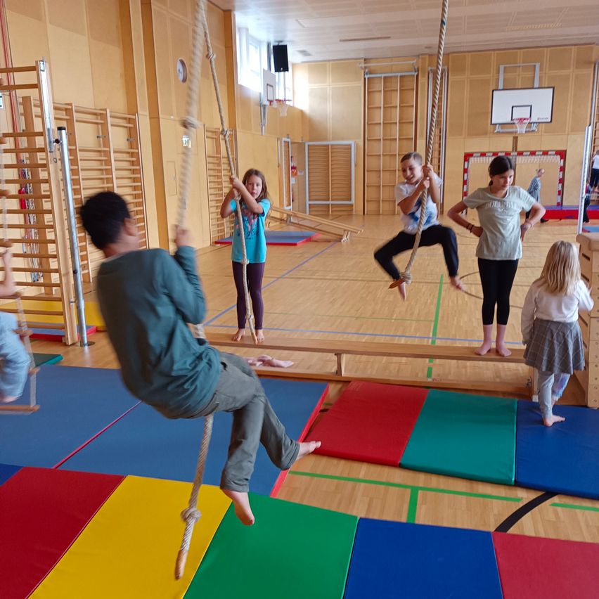 In einer Turnhalle benutzt eine Gruppe von Kindern Kletterseile. Sie hängen an den Seilen, während andere auf dem Boden stehen und möglicherweise auf ihre Reihe warten. Die Turnhalle ist mit bunten Matten und einem Basketballkorb gefüllt.