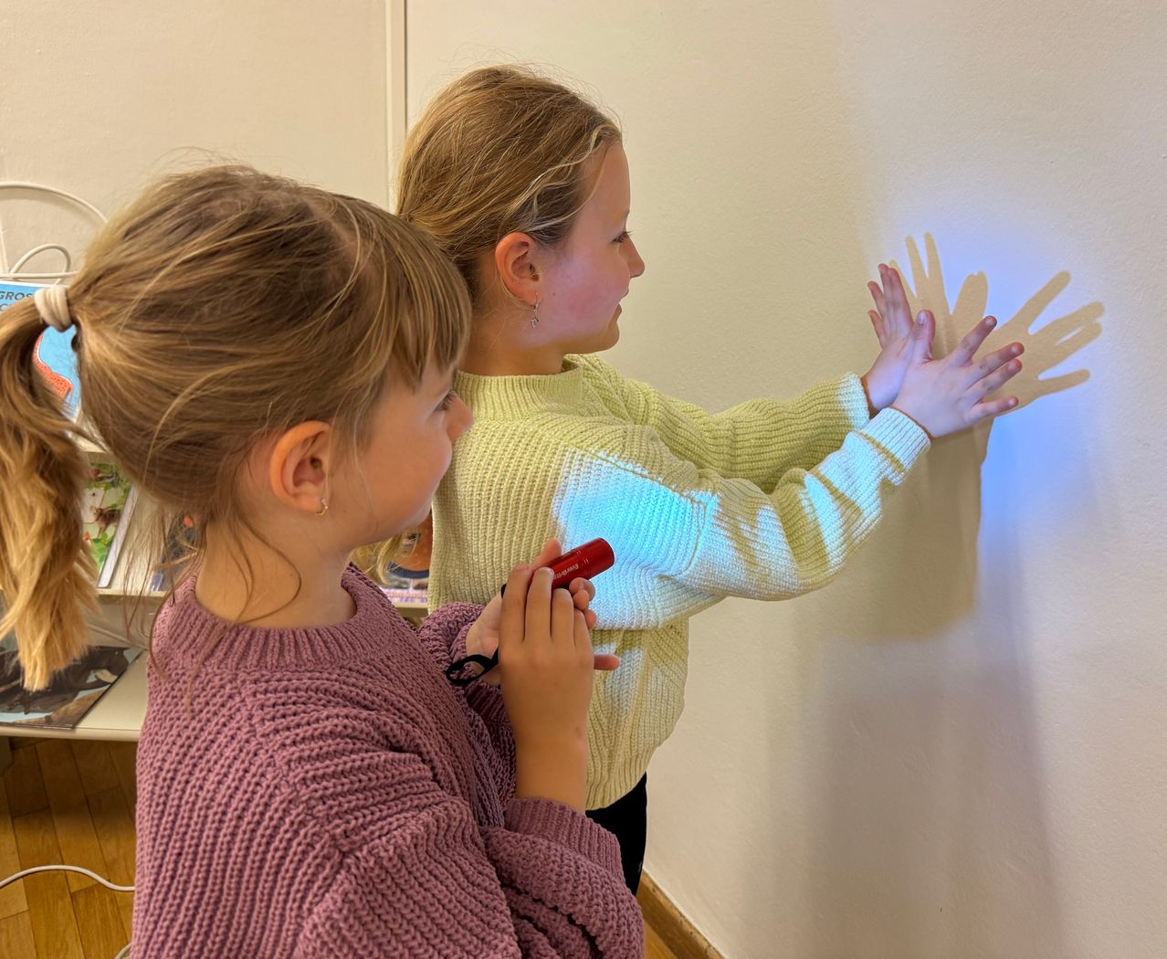 Two girls are standing close to each other and holding a flashlight. They are looking at the wall where their shadows are projected.