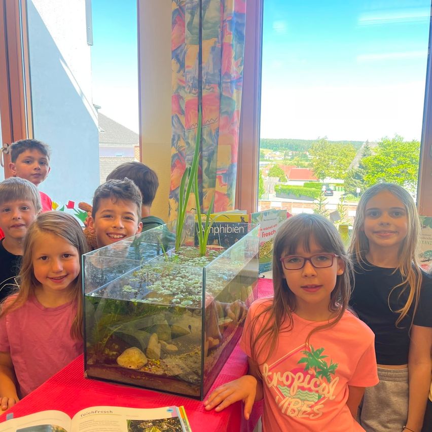 Eine Gruppe von Kindern, einschließlich eines Mädchens mit Brille, steht um ein Aquarium mit Pflanzen herum und lächelt in die Kamera. Das Aquarium steht auf einem roten Tisch mit einem Buch, und es gibt Fenster, die Bäume und Häuser draußen zeigen.
