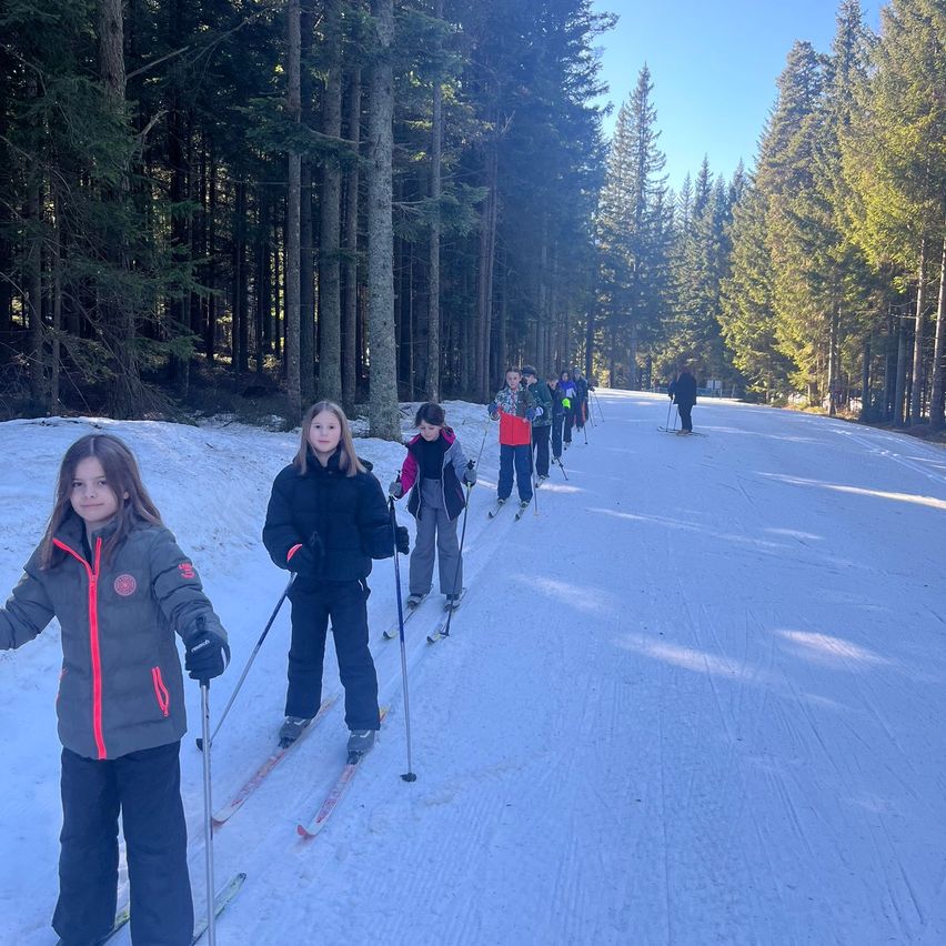 Eine Gruppe von Kindern skurt auf einer verschneiten Piste im Wald, mit Jacken und Skistöcken.